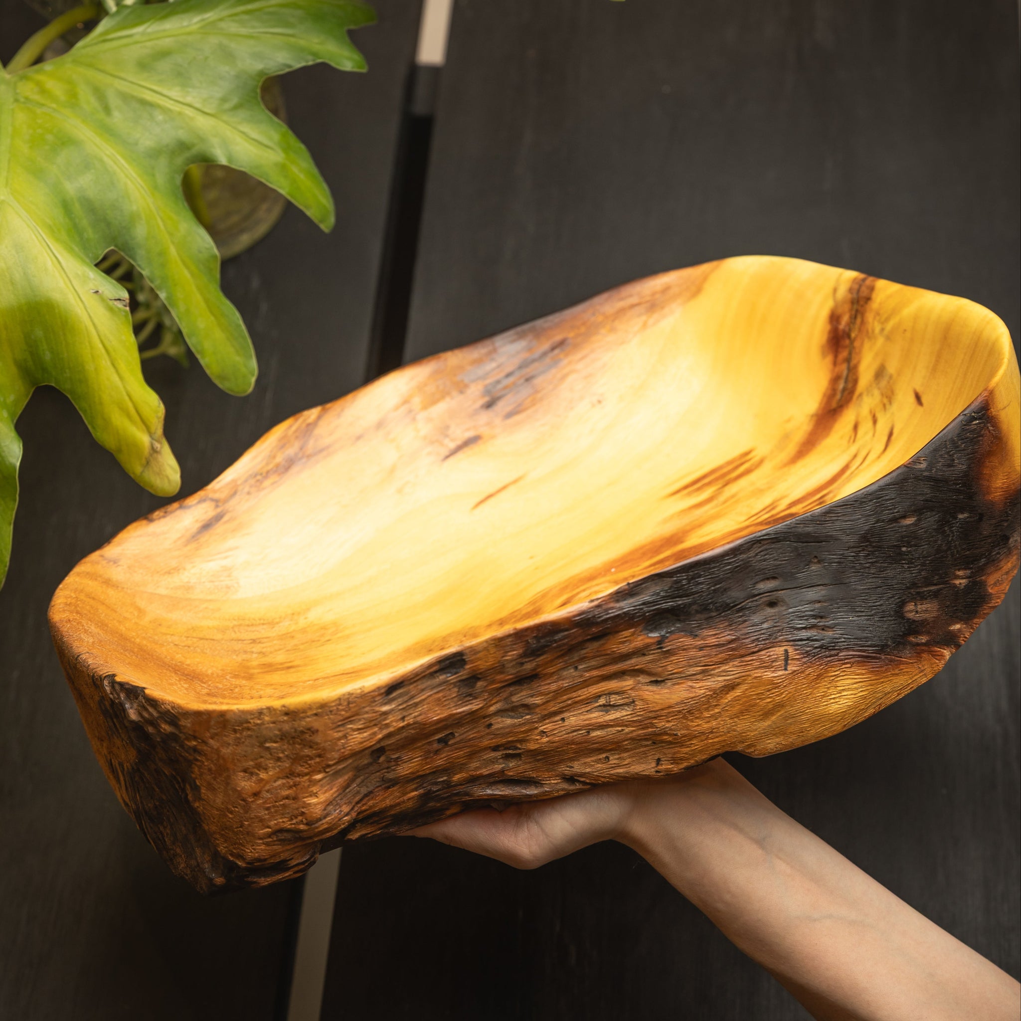 CUENCOS DE MADERA TATAJYVA