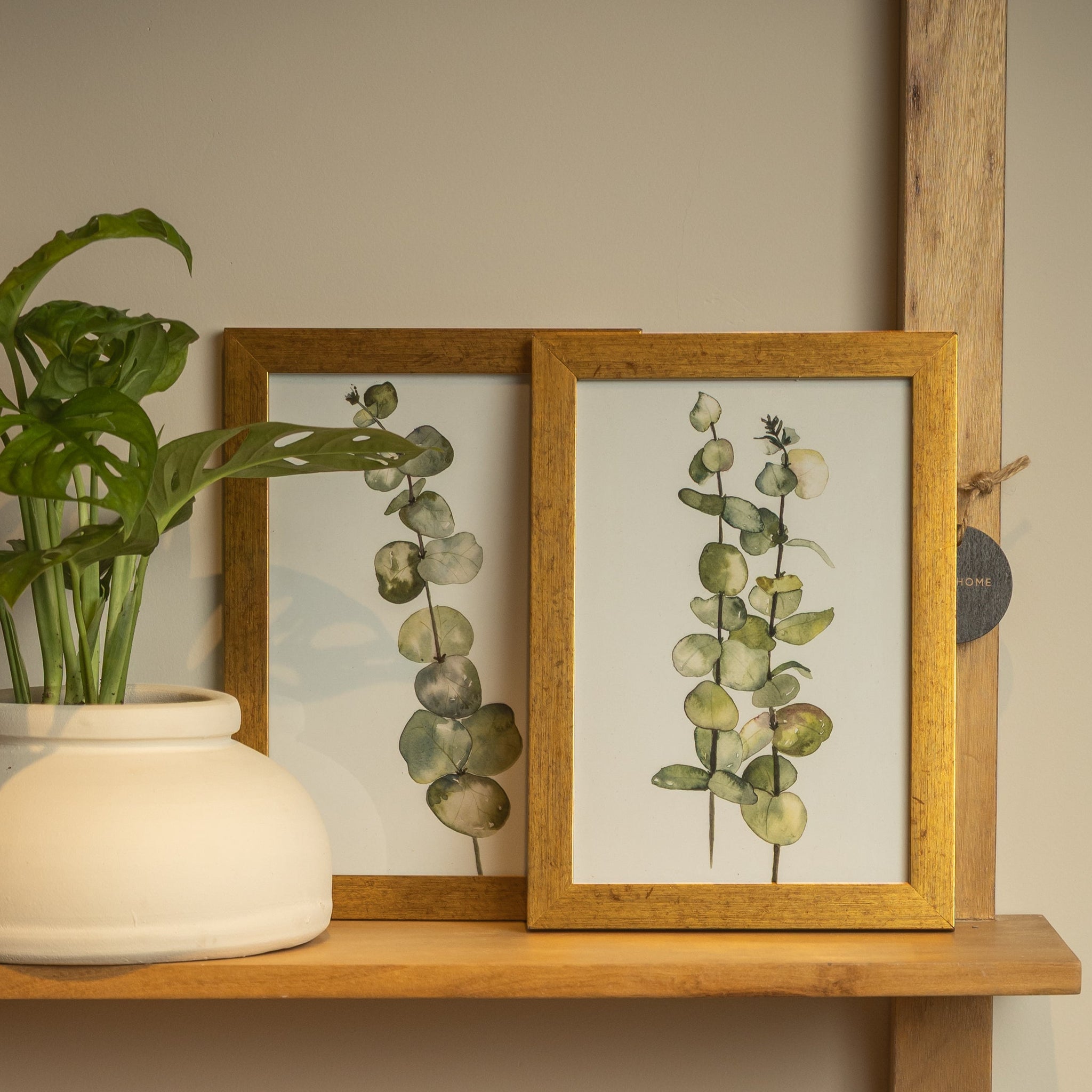 ENMARCADO EUCALIPTO - 21 x 30 cm